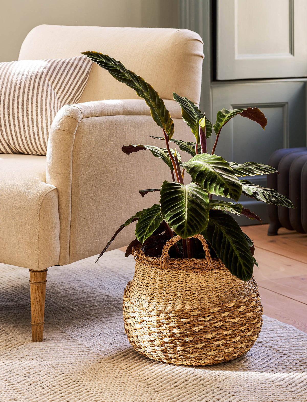 Basket: Natural Seagrass Pot With  Handles - Garden Trading