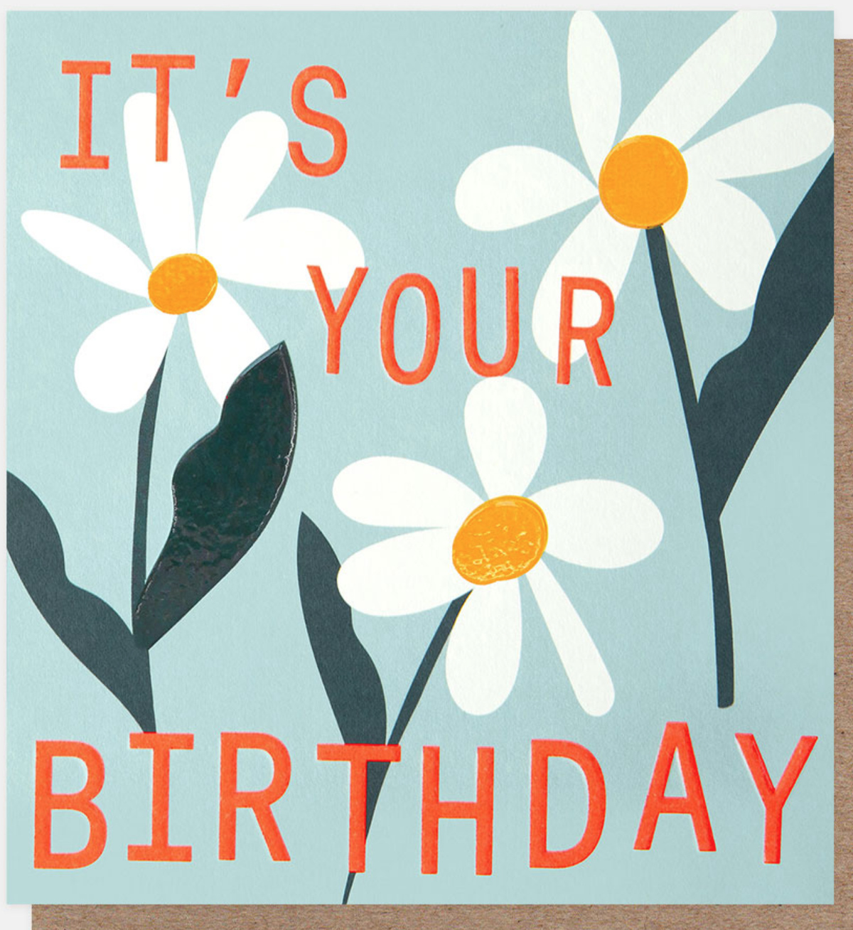 Birthday Card: White Daisies  - Caroline Gardner