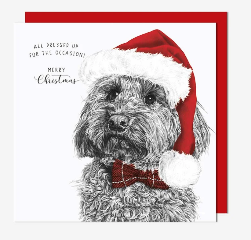 Christmas Card: Dog With Santa Hat All Dressed Up For The Occasion - Pigment