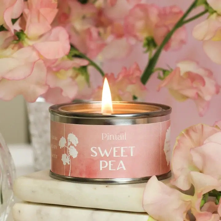 Candle: Scented Tin 14 hrs Sweet Pea - Pink - Pintail Candles