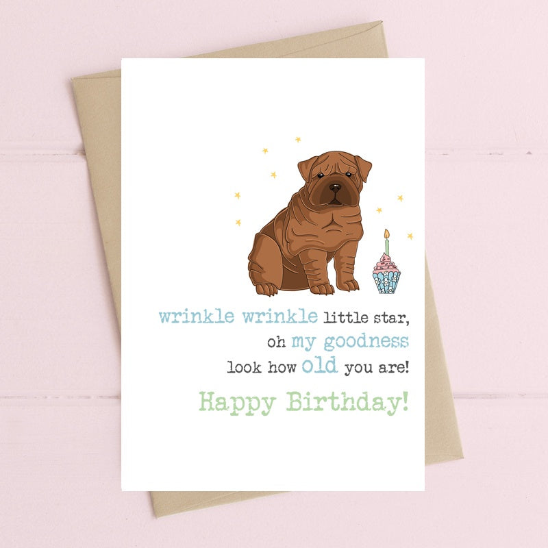 Birthday Card: Wrinkle Wrinkle Little Star - Dandelion Stationary