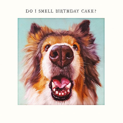 Birthday Card: Dog Do I Smell Birthday Cake - Pigment
