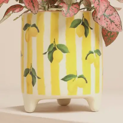 Planter Pot: Ceramic Glazed Stoneware Lemons - Lisa Angel