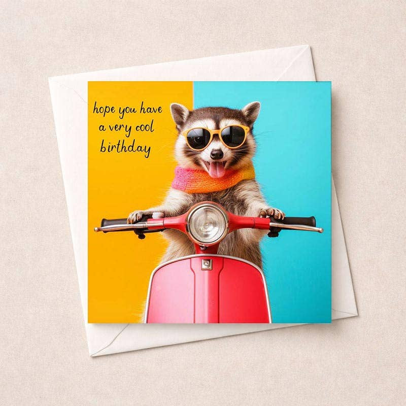 Birthday Card: Racoon Have A Cool Birthday - Hammond Gower