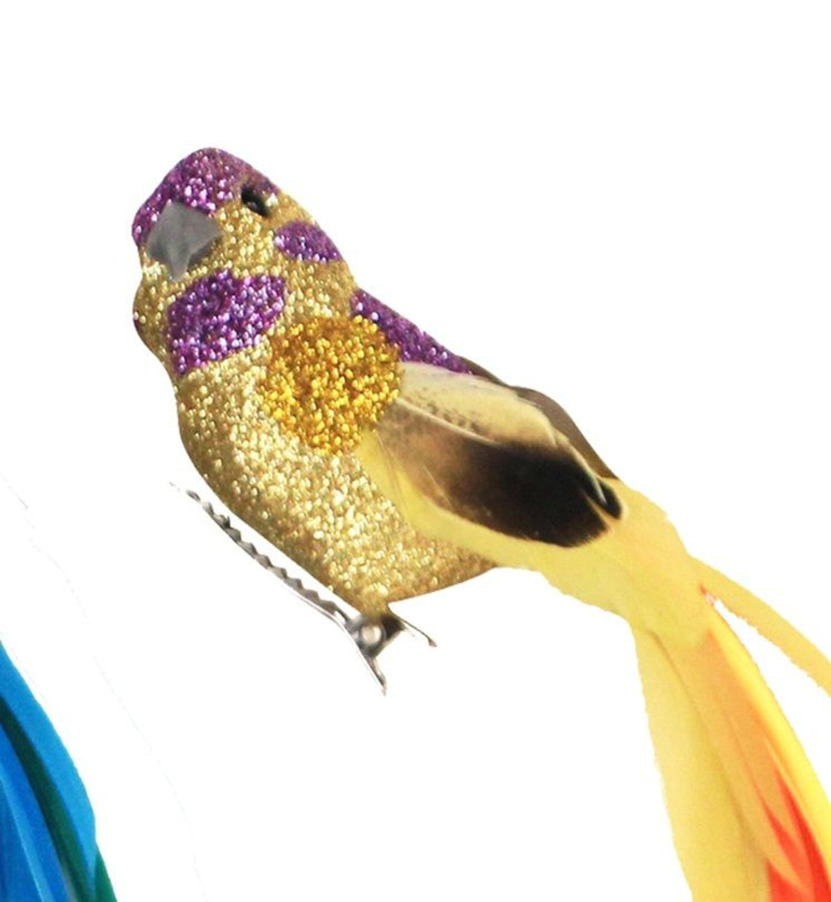 Christmas Tree Decoration: Feather Bird Clip Glitter Detail - Gisela Graham