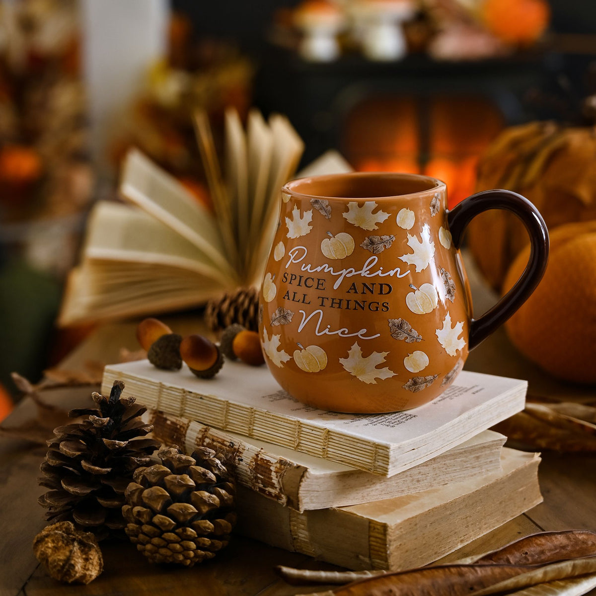 Mug Ceramic Large 490ml Pumpkin Spice - Brown - Country Living