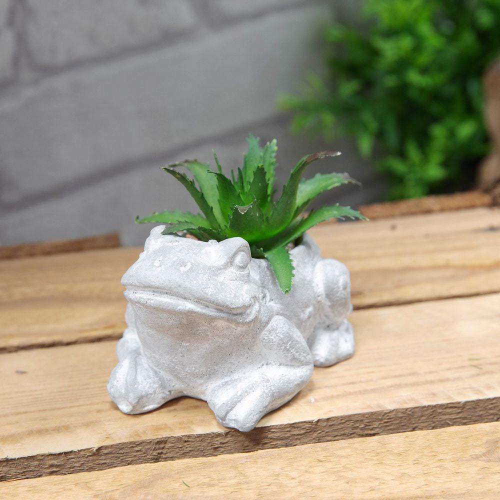 Faux Plant: Cement Mini Frog Succulent - Grey