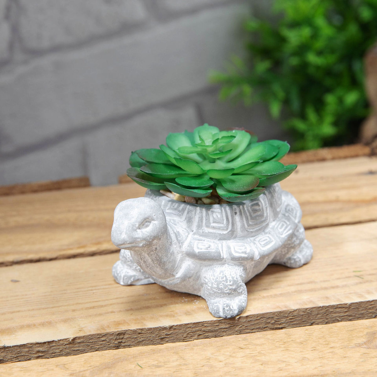 Faux Plant: Cement Mini Tortoise Succulent - Grey