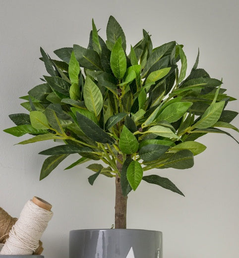 Faux Plant: Bay Tree Large - Green - Retreat Home & Gift