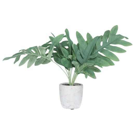 Faux Plant: Cement Grey Pot  Star Fern - Green - Gisela Graham