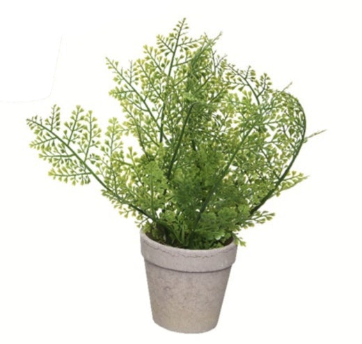 Faux Plant: Fern Spiky Small Leaves Small Grey Pot - Green