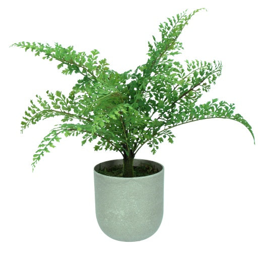 Faux Plant: Maidenhair Fern w Pot - Green