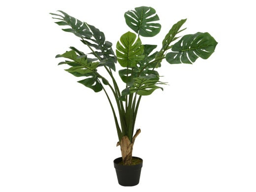 Faux Plant: Monstera Extra Large w Pot - Green