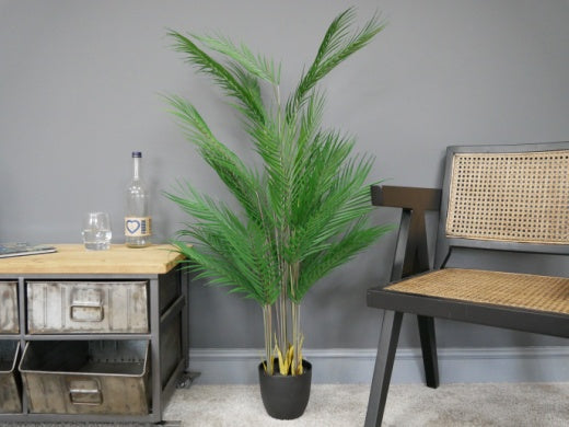 Faux Plant: Palm Plant Large 110cm in Black Pot  - Green