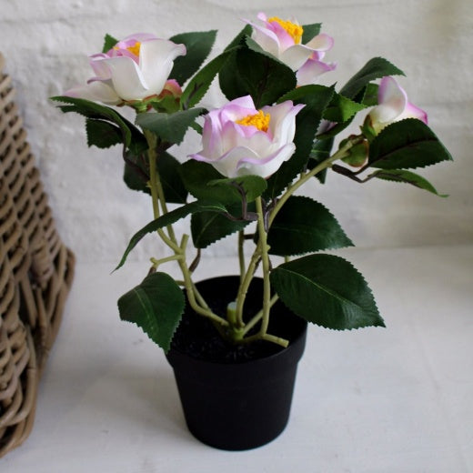 Faux Plant: Potted Camelia Flowers - Pink - Biggie Best