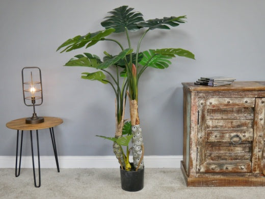 Faux Plant: Potted Cheese Plant Round Pot - Large - Green