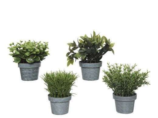 Faux Plant: Small Herbs Hessian - Leaves Basil - Green
