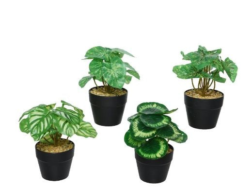 Faux Plant: Small Realistic Black Pot Pebbles 7.5cm - Round Leaves - Green