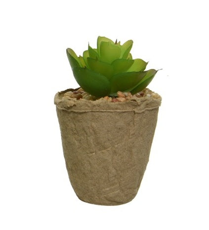 Faux Plant: Succulent Mini Round Flower stones in Natural Pot - Green