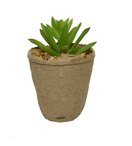 Faux Plant: Succulent Mini Wide Round Leaf stones in Natural Pot - Green