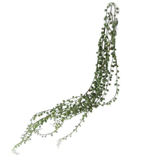 Faux Plant: Trailing Pearls String Long - Green