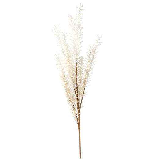 Faux Reed Stem: Feathered  Reed Spray      - Natural - Gisela Graham