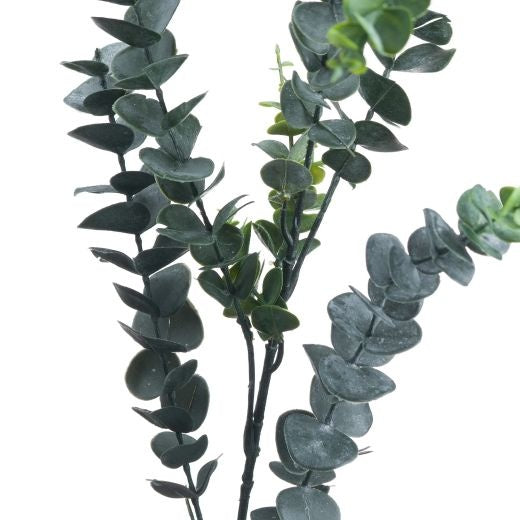 Faux Stem: Silver Dollar Eucalyptus - Green