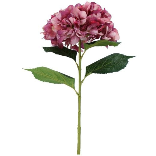 Flower Stem: Faux Giant Hydrangea 68cm - Marbeled Pink - Gisela Graham