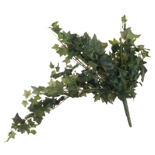 Flower Stem: Ivy Pick Hanging - Green - Hill Interiors