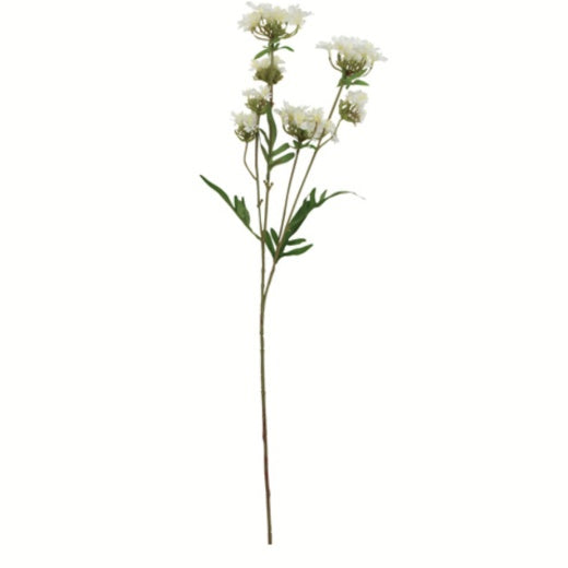 Flower Stem: Mini Zinnia Spray  Leaves - White - Gisela Graham