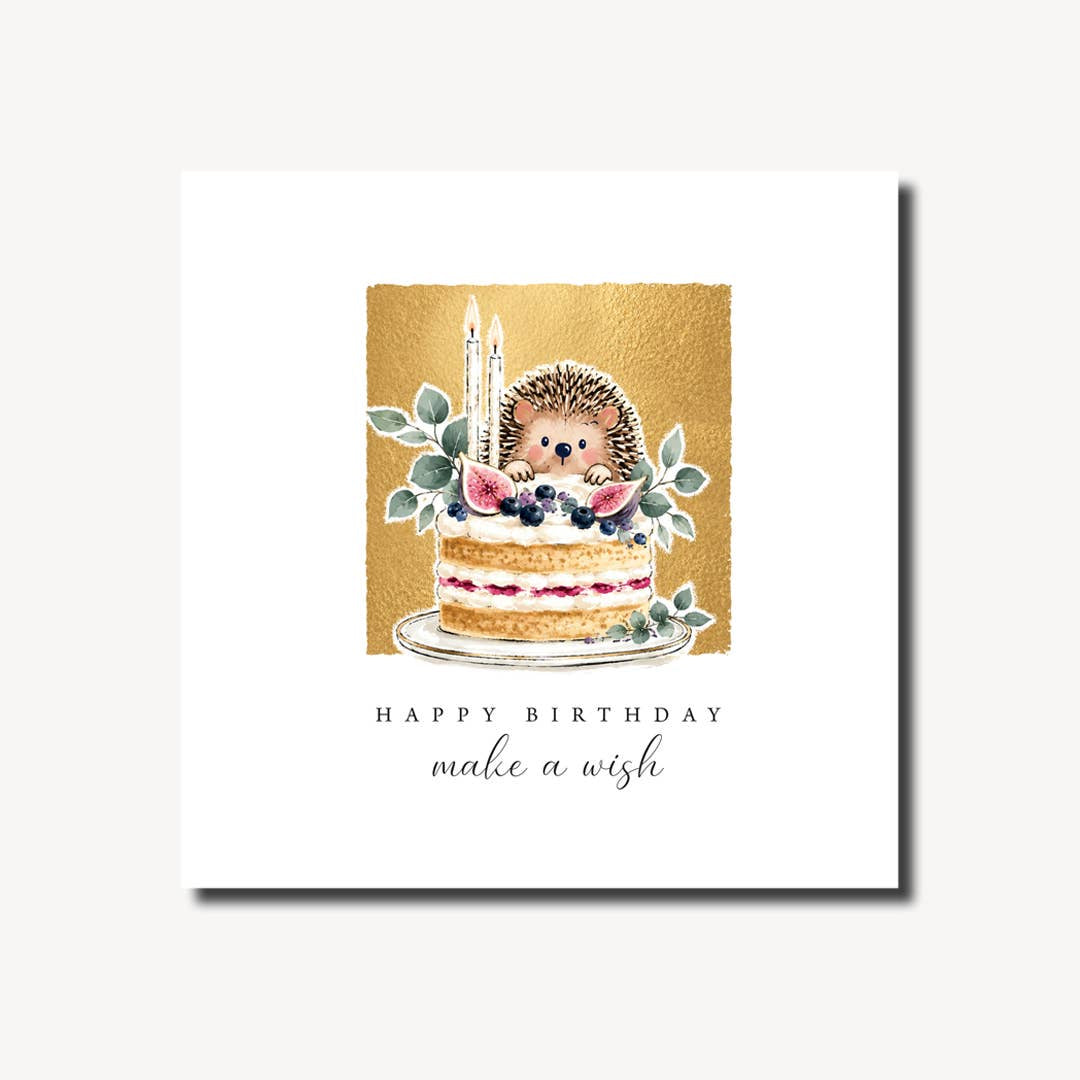 Birthday Card: Reflections Hedgehog With Birthday Cake  - Marina B