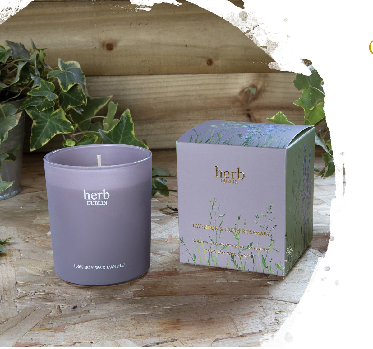 Candle: Scented Coloured Glass Box LAVENDER - Lilac - Herb Dublin