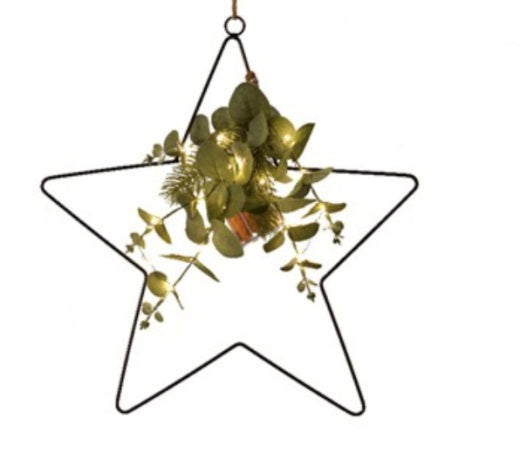 LED Decoration: Wire Hanging Star Faux Eucalyptus Bunch Timer - Black