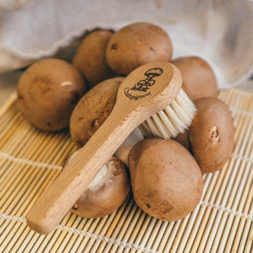 Mushroom Brush: Horsehair Light Bristles Long Handle Traditional Handcrafted - Natural
