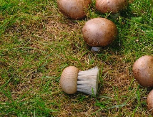 Mushroom Brush: Horsehair Light Bristles Traditional Handcrafted - Natural