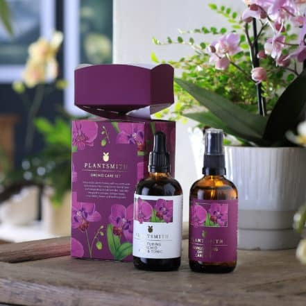Plant Care Kit: Gift Cracker - Orchid - Plantsmith