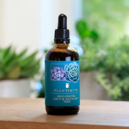 Plant Feed: Cactus and Succulent Feed 100ml - Plantsmith