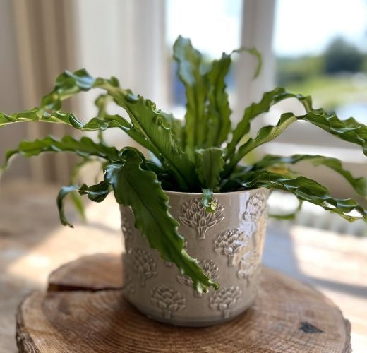 Planter Pot: Ceramic Glazed Stoneware Artichoke Pattern - Grey - Gisela Graham