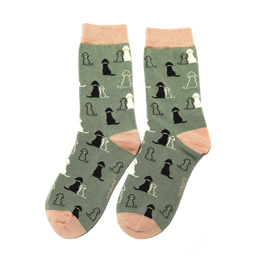 Ladies Socks: Bamboo Retriever - Duck Egg- Miss Sparrow