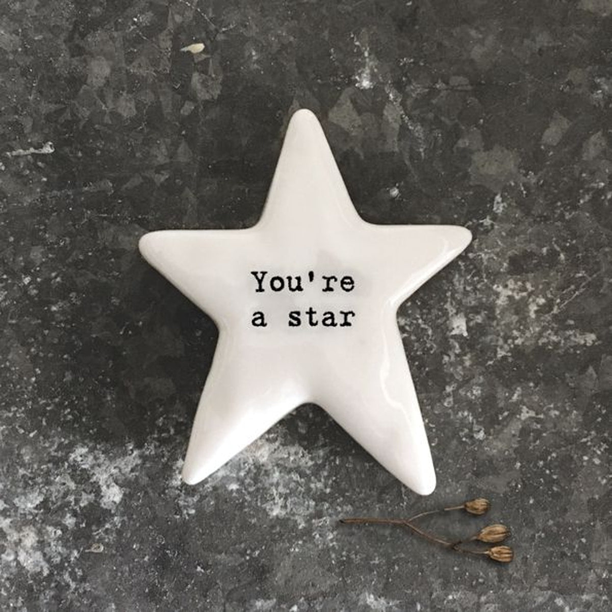 Star Pebble: Porcelain Token Youre a star - White