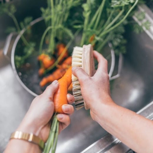 Vegetable Brush: Tampico & Union Fibre Two Tone - Natural